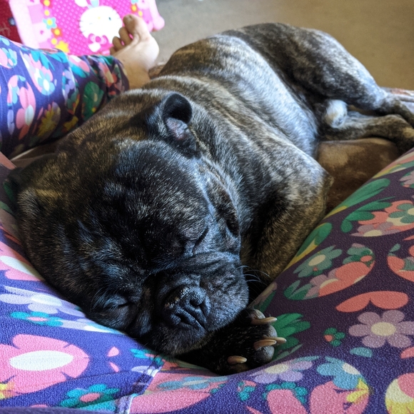 Meet your Posher, Melina - Picture 4 of 12